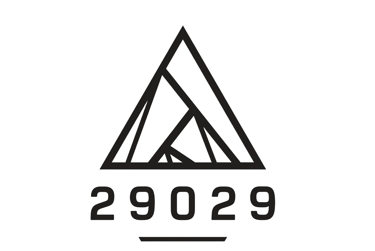 29029 logo